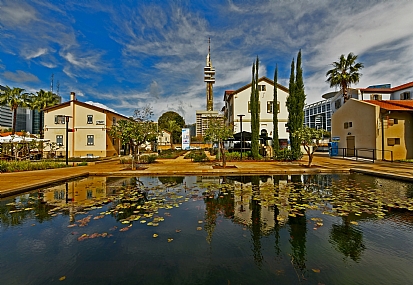 שרונה מצויירת