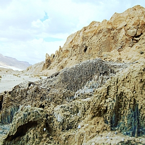 צילום: עינב לב ארי