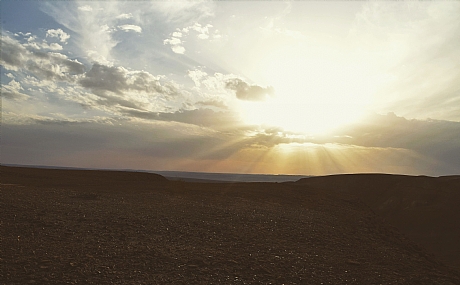 צילום: עינב לב ארי