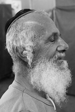 צילום: אמיר סיון