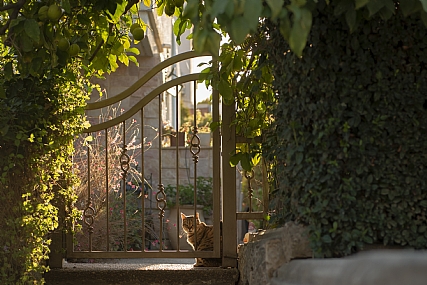 ממתינה בשער