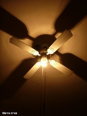 צילום: אורית הירש