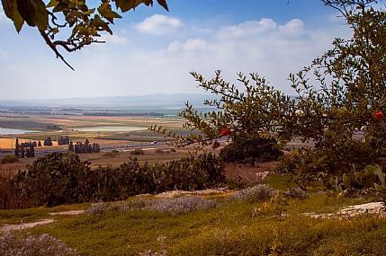גבעת עמק יזרעאל