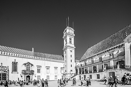 האוניברסיטה