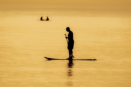 מחשבות רבות על...
