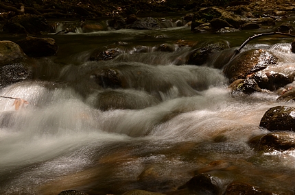 רק נראה כמו סבטוחה ;-)