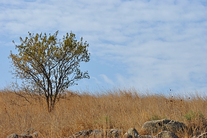 יבש בחוץ ..קיץ 