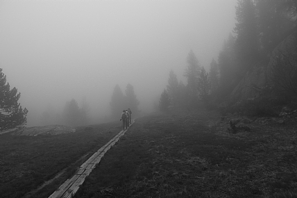 טיול בערפל 2