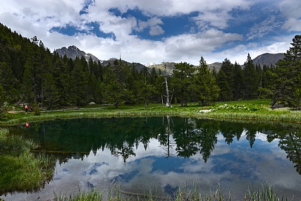 איש ליד האגם