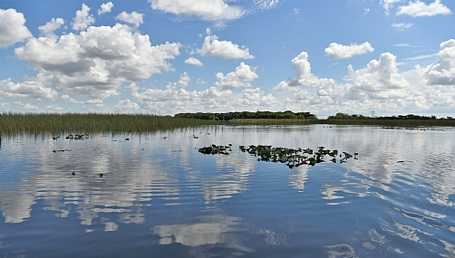 השתקפות באוורגליידס