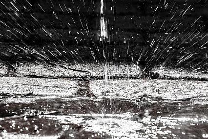 צילום: זיו חי