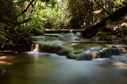 במורד הערוץ