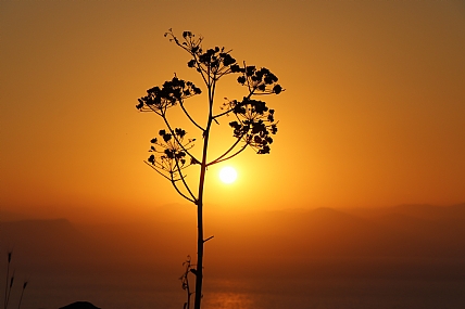 שקיעה  בקיץ החם 