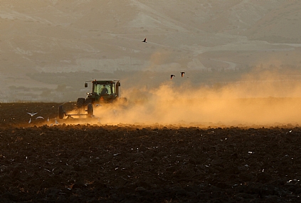 החלקת הרגבים