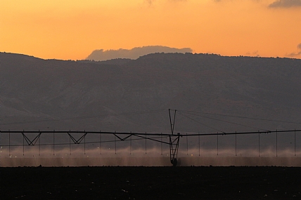 השקיה עם שחר