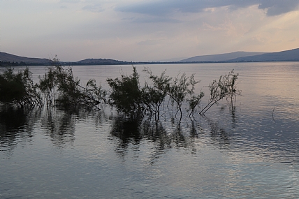 כנרת  שקטה 