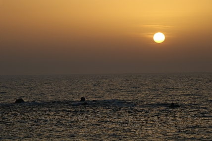 צילום: אמיר סיון