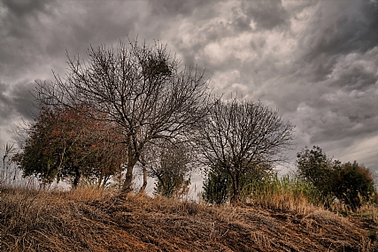 סוף סוף חורף
