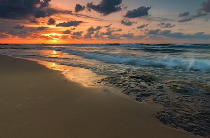 בין הערביים