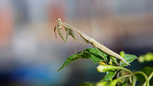 די ! נמאס להצטלם