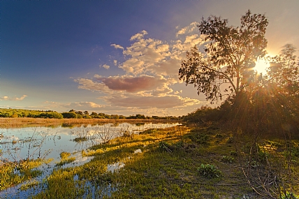 פינה פסטורלית