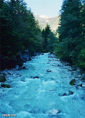 כשהשלג מפשיר ...