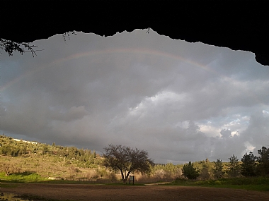 זוכר הברית..