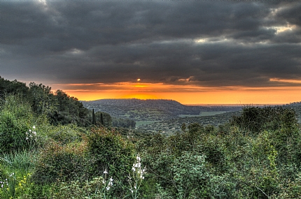 מבט לשקיעה משפלת יהודה