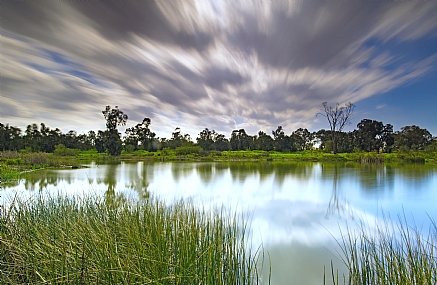 צילום בתנועה