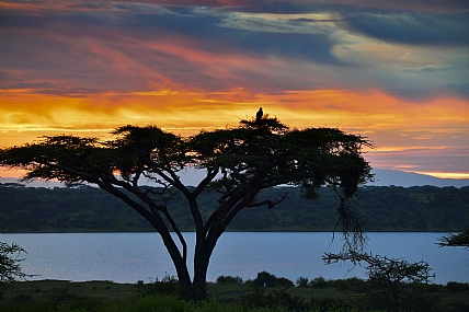 זריחה בנדוטו, טנזניה