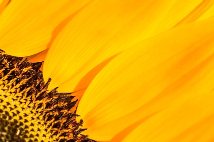 Here comes the sun