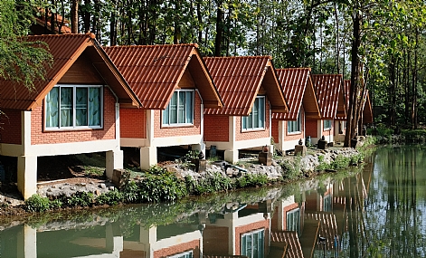 הייתי בגן עדן