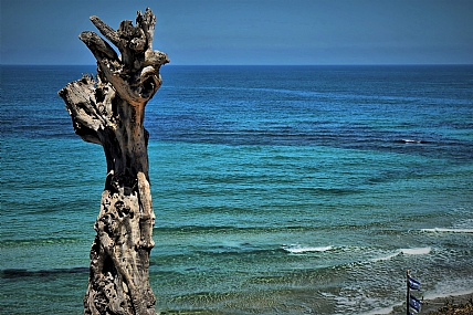 100 שנים של בדידות