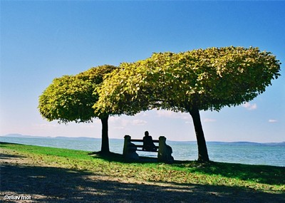 פעם פה ופעם שם ... 2.