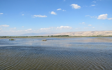 צילום: נעמה שרהבי