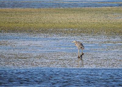צילום: נעמה שרהבי