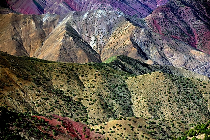 צילום: דוד עידן