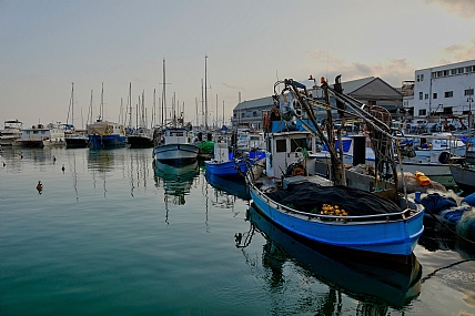 בוקר טוב לדייגים 