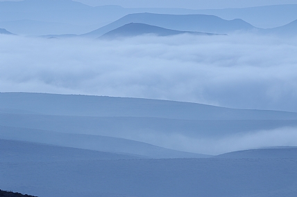 ערפילי בוקר