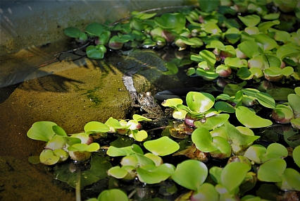 סוף סוף יבשה 
