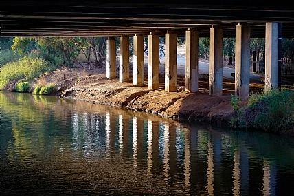 במסלול ההליכה