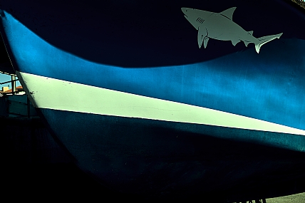 גוונים של כחול