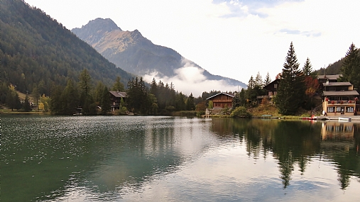 יופי הבריאה