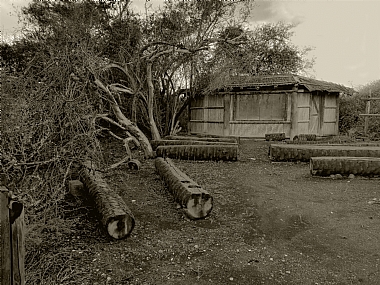 צריף הצפרים