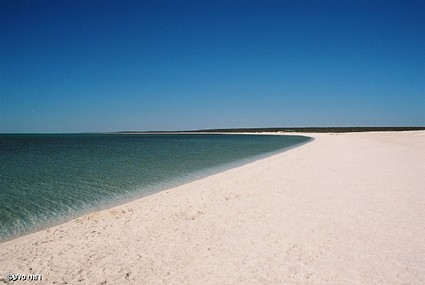 חולות לבנים