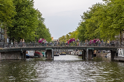 חיים על גשר