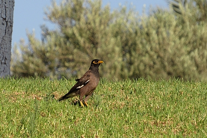 צילום: נעמה שרהבי