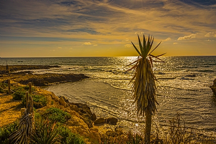 כתר על הראש