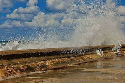 וביום החמישי לא נח הים