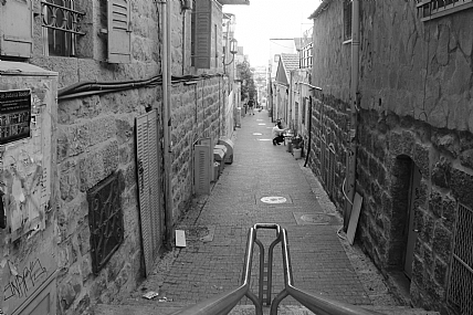 �����: ����� ���